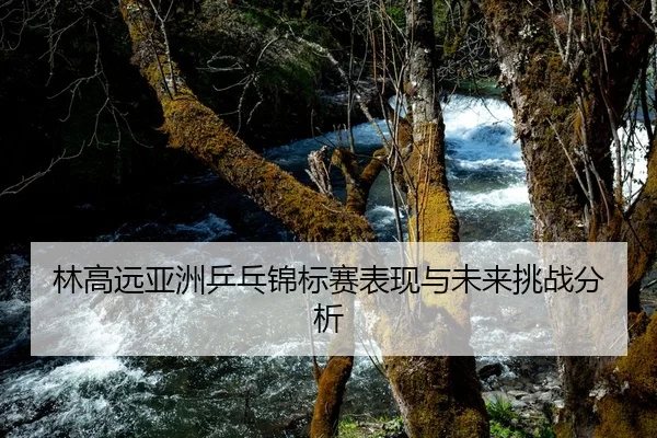 林高远亚洲乒乓锦标赛表现与未来挑战分析